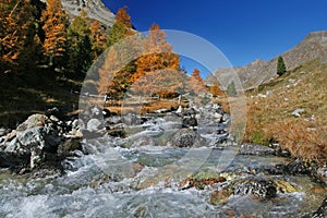 Swiss autumn river