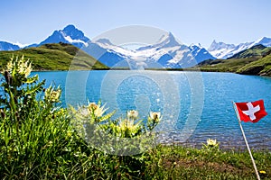 Swiss beauty, Schreckhorn and Wetterhorn, Switzerland.