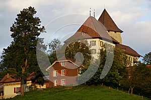 Swiss Castle