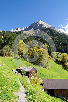 Swiss chalet in Alps