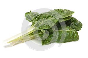 Swiss Chard