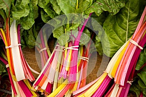 Swiss Chard photo