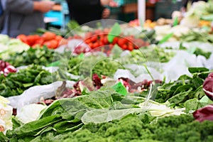 Swiss chard Beta vulgaris