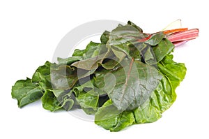 Swiss Chard Isolated on White