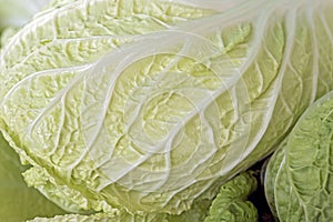 Swiss chard leaves closeup photo