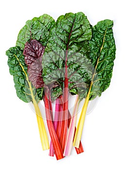 Swiss chard Rainbow