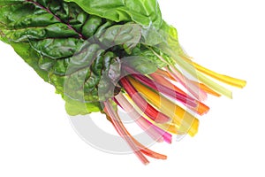 Swiss chard in a white background