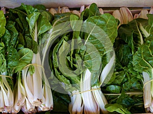 Swiss chart or Blitva from Croatia is a kind of Spinach