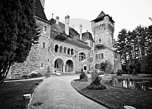 Swiss chateau photo