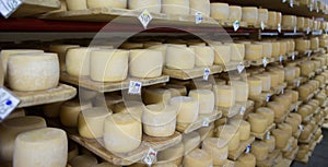 Swiss cheese cellar