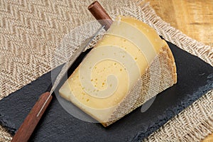 Swiss cheese collection, gruyere cheese made from unpasteurized cow's milk