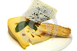 Swiss cheese roquefort and camembert