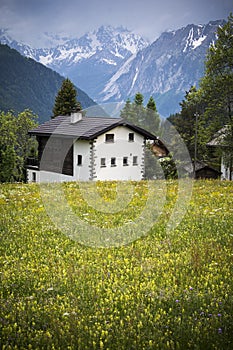 Swiss Cottage in scenic Alpine setting with meadow