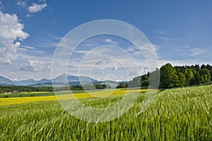 Swiss countryside