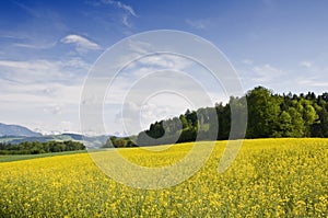 Swiss countryside