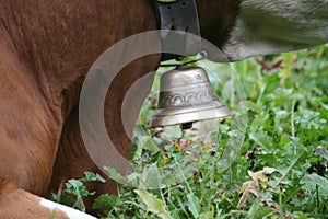 Swiss cow bell detail photo