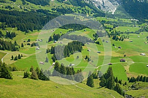 Swiss forest and meadow landscape with huts from a bird\'s eye view