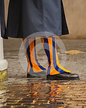 Swiss Guard in Rain