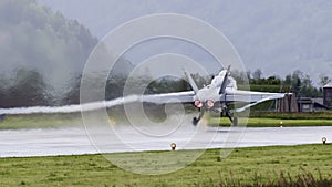 Swiss Hornet