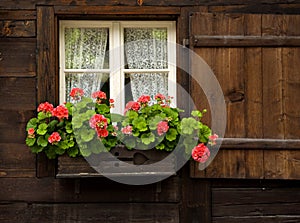 Swiss House with Flowerbox in Window