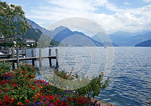 Swiss lake view