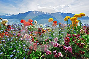 Swiss landscape