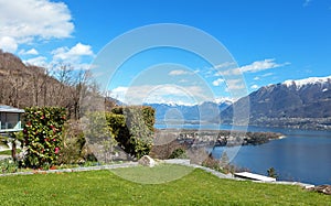 Swiss landscape: garden