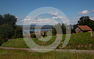 Swiss landscape on a sunny summersday