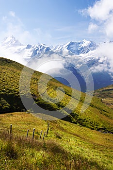 Swiss Meadows and Swiss Mountains