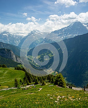 Swiss mountain view of the Grindelwald Valley and the mountains in summer