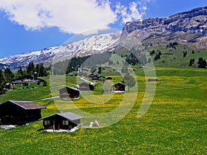 Swiss Mountains in Springtime