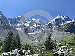 Swiss mountains in the summer