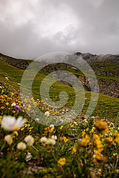 swiss nature at cloudy eather. swiss destinatons and travel idea