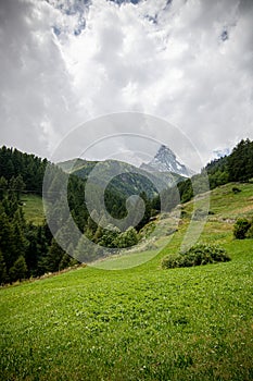 swiss nature at cloudy eather. swiss destinatons and travel idea
