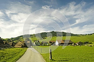 Swiss pasture in the summer