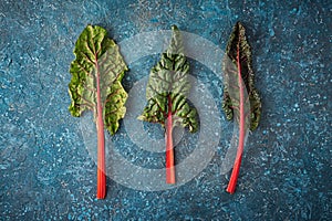 Swiss Rainbow chard, silverbeet or mangold over rustic blue textured background