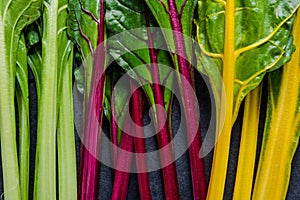 Swiss rainbow chard, vibrant vegetable