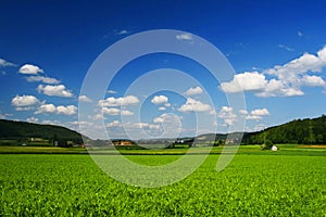 SWISS SUNNY FIELDS, SWITZERLAND