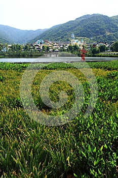 Swiss Village with grasslands