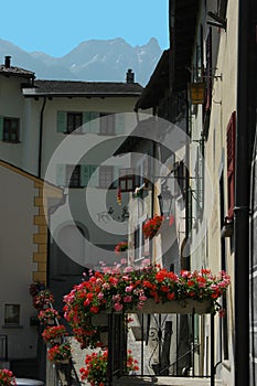 Swiss Village Street with Geraniums