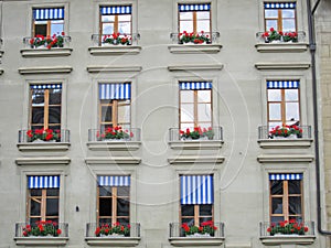 Swiss Windows