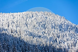 Swiss Winter cold Winter blue mountain