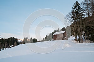 Swiss Winter - Hut in the forest