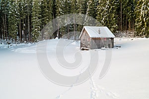 Swiss Winter - Lonely hut in forest