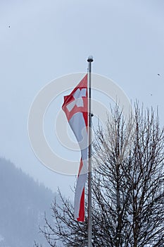 Swiss Winter street snow Flag
