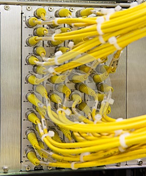 Switch and cable in data center