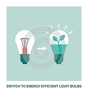 Switch to energy efficient light bulbs