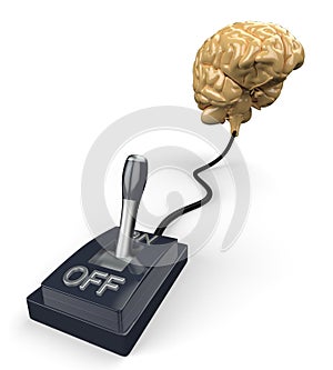 Switched on human brain