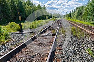 Switched railroad tracks running through the forest in British C