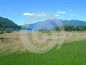 Switss Alps and meadows